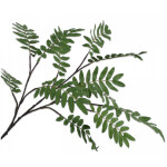 Φτέρη κλαδί 150cm