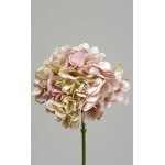 Ορτανσία | Light pink 50cm