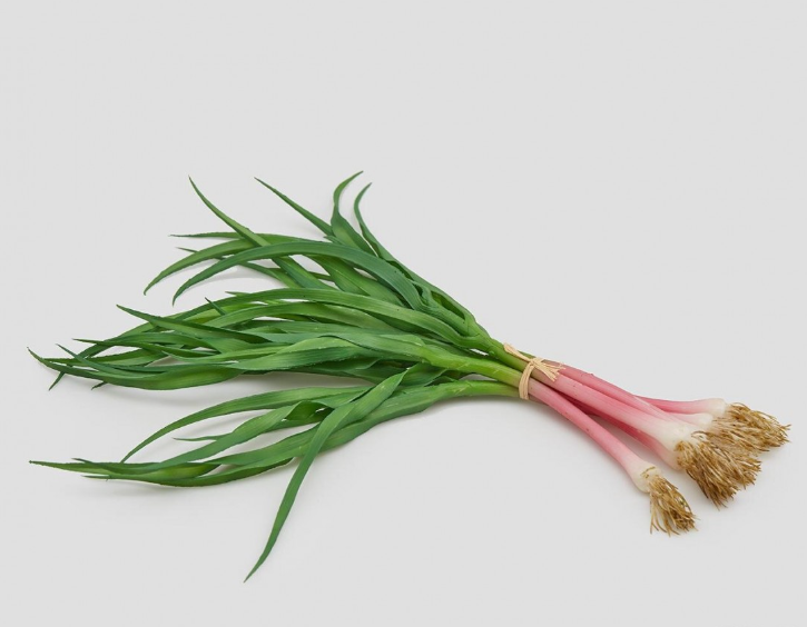 13 Κρεμμύδι Real Touch 30cm - Image 1