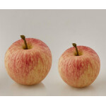Μήλο Real Touch 8cm - Image 4