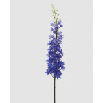 Δελφίνιο μπλε 135cm
