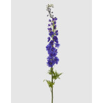 Δελφίνιο μωβ 130cm