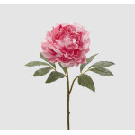 Παιώνια | Ροζ 57cm
