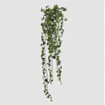 Ήβη 130cm