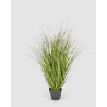 Grass 122cm