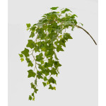 Ήβη 105cm
