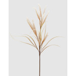 Fescue 130cm
