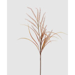 Fescue 130cm