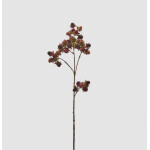 Blackberry 78cm
