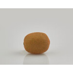Ακτινίδιο Real Touch 6cm