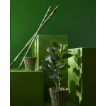 Bamboo κλαδί 185cm - Image 2
