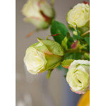 Τριαντάφυλλο | Lime 51cm - Image 3