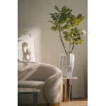Πλίνια κλαδί 90cm - Image 8