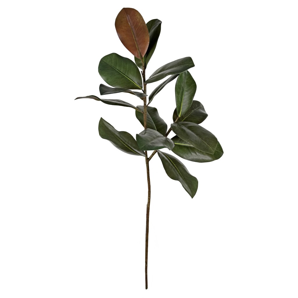 Μανόλια κλαδί 88cm