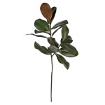 Μανόλια κλαδί 88cm