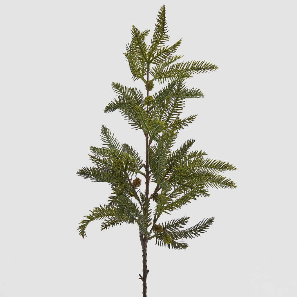 Κλαδί ίταμος 89cm